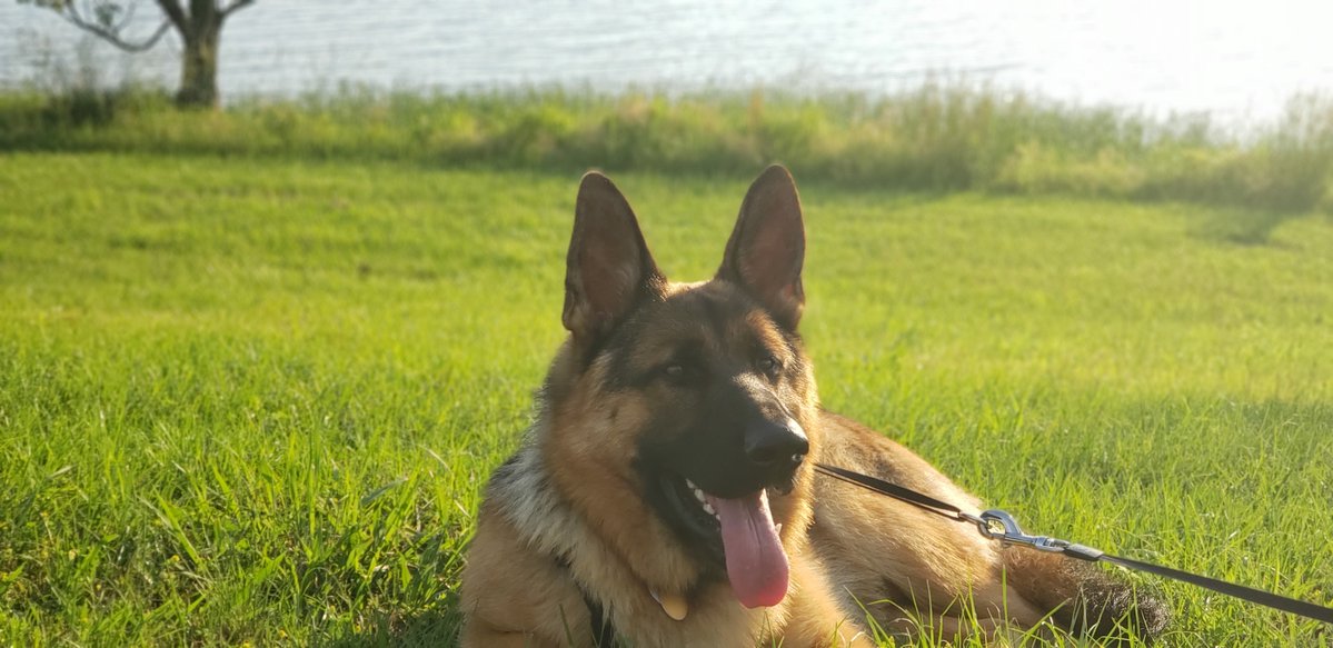 Jeff Bailey tweet media