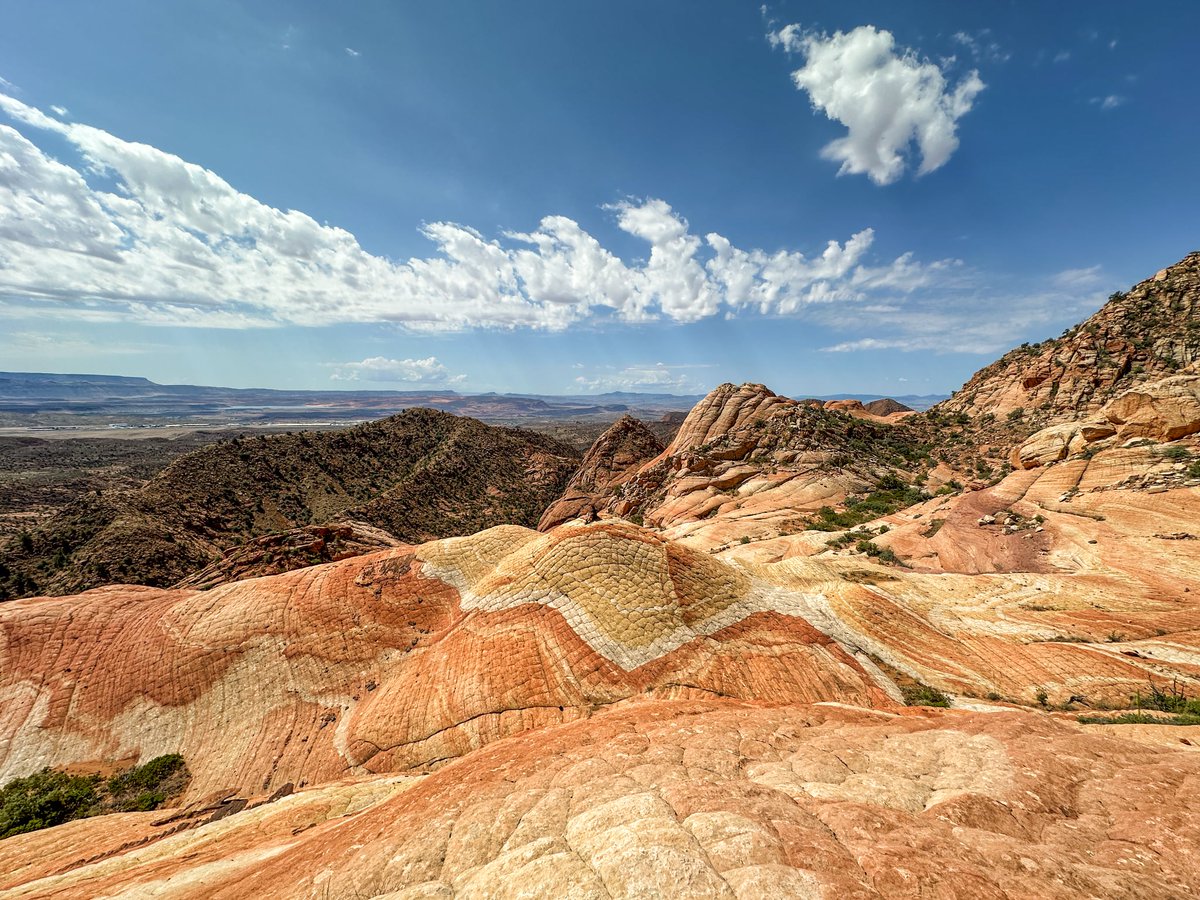 A-Train1983 tweet media