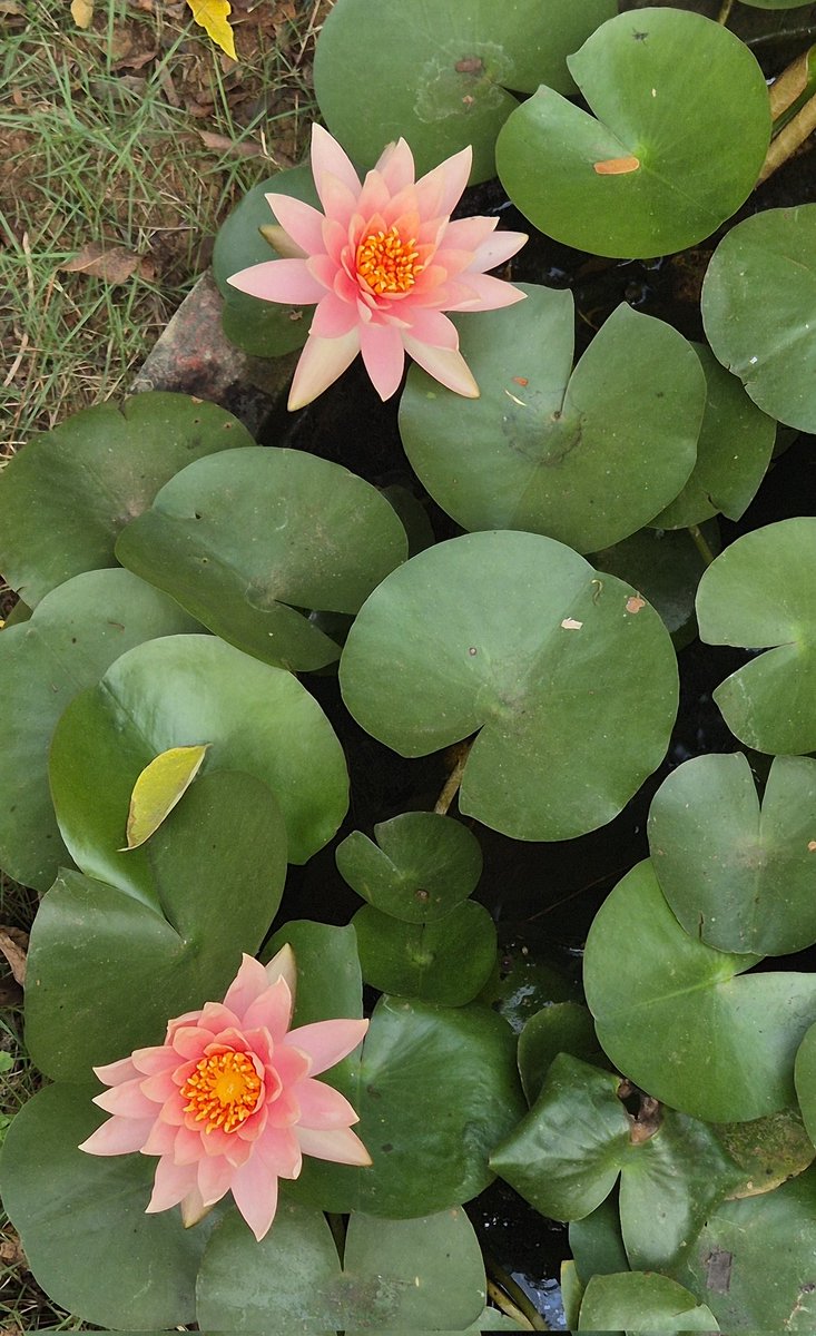 Preethy Prasanth tweet media