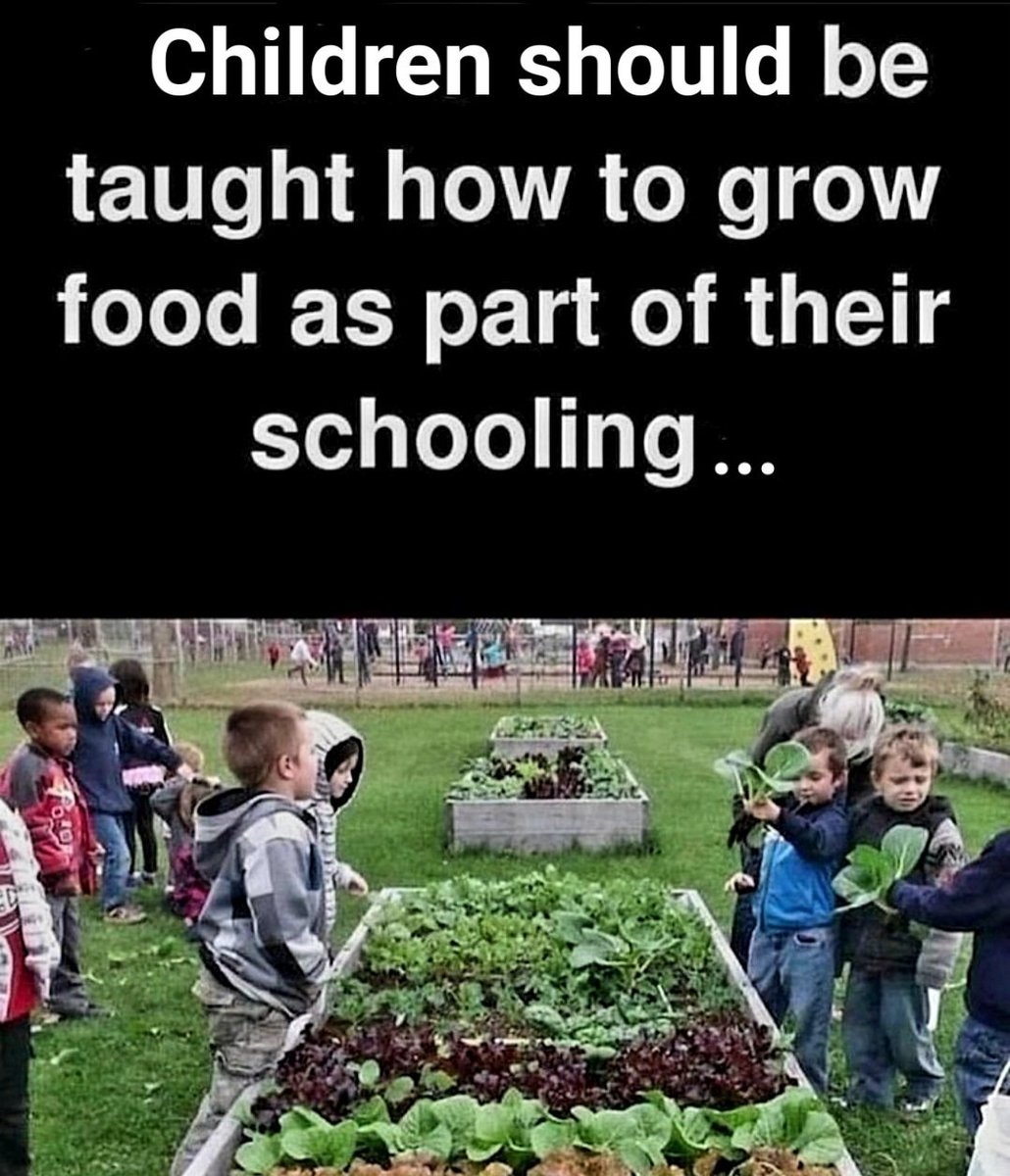 Poppy Mathobela tweet media