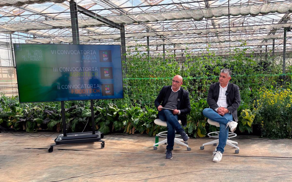 FHALMERÍA 🌱 tweet media