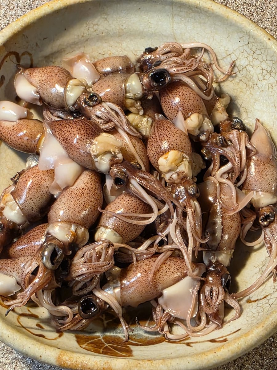 ⋆˖⁺‧₊☽𝕿𝕶𝕹𝕶☾₊‧⁺˖⋆🍄📕📖🎶♫🍴🐟💰💴💹🍷👼💣 tweet media