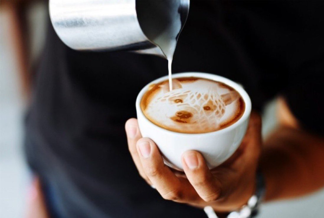 Wrapped Dog Favorites tweet media