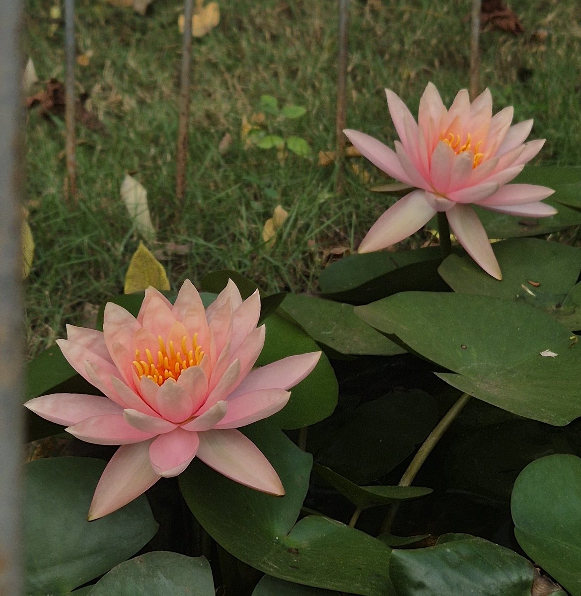 Preethy Prasanth tweet media