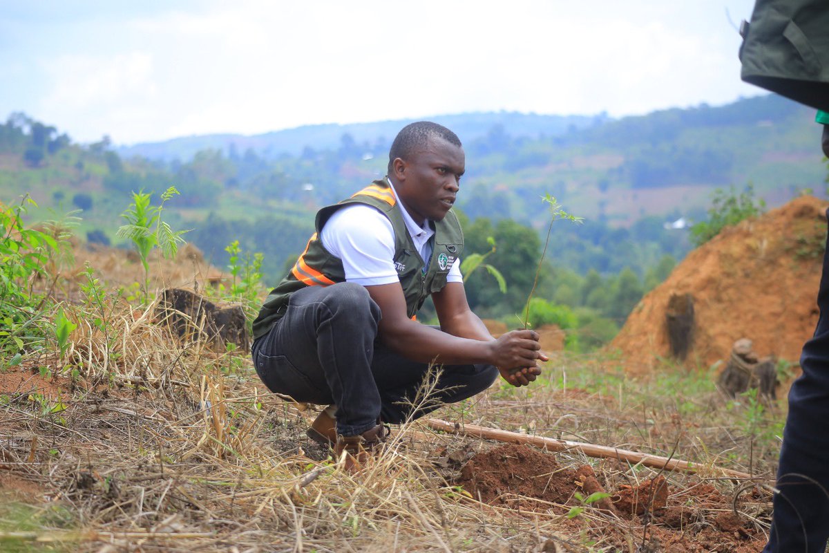 Girls In Tourism Association - Africa tweet media