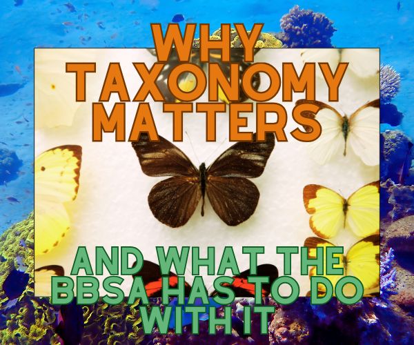 Biodiversity Biobanks South Africa tweet media