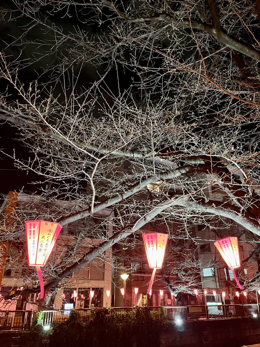 yutaka ikeda tweet media