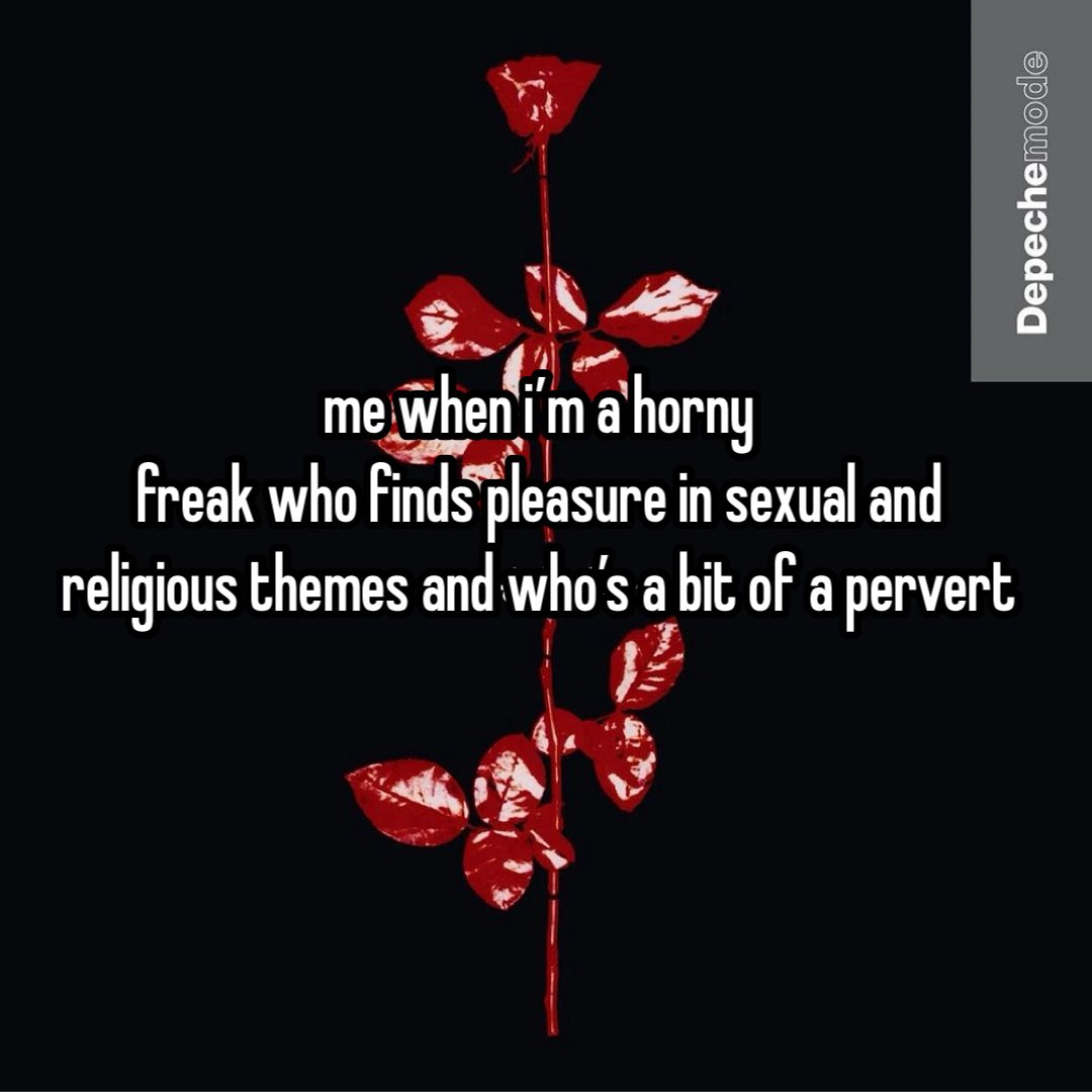 kath ☆ saw depeche mode !!! tweet media