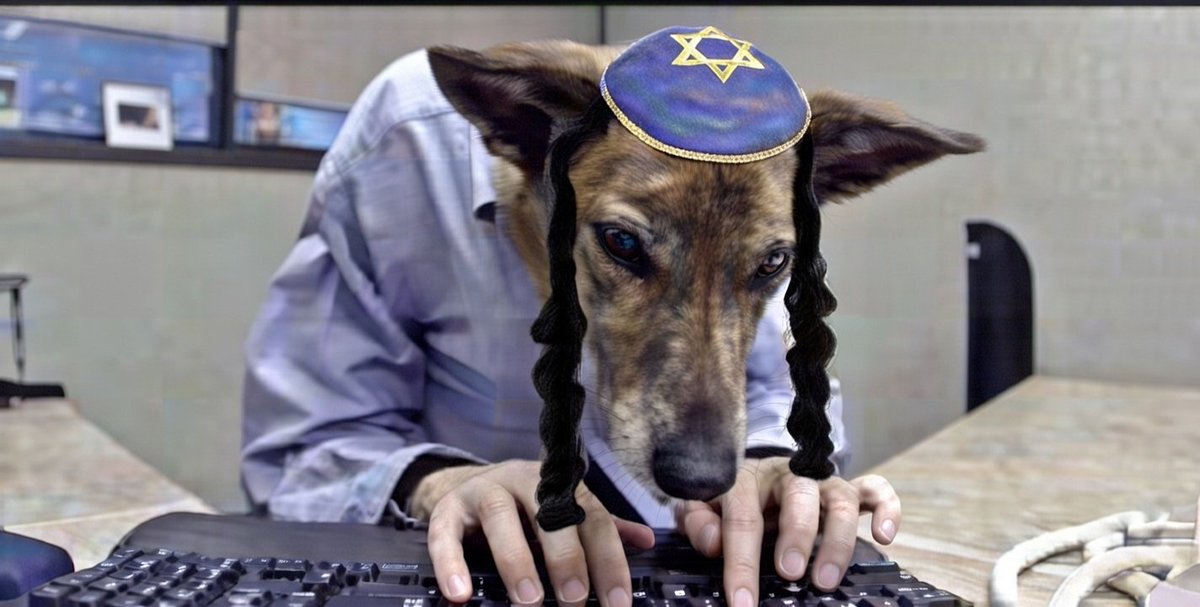 PrivacyHasher ᛉ ᛏ ᛟ tweet media