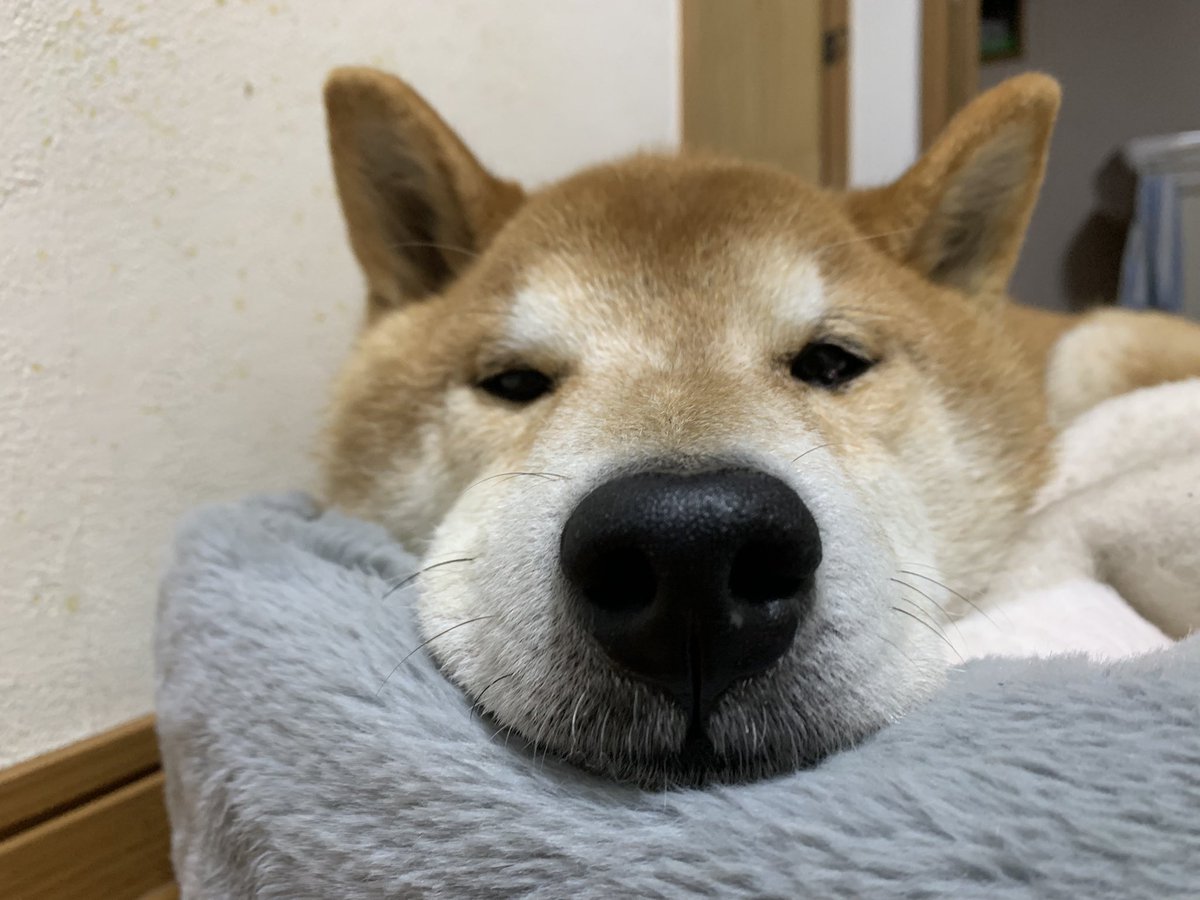 𓂸はまち𓂸 tweet media