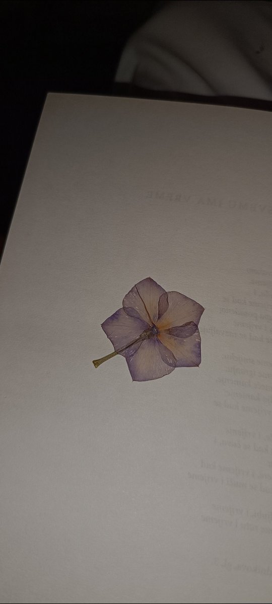 ShadowsOfDante's tweet image. #writing #nonsense