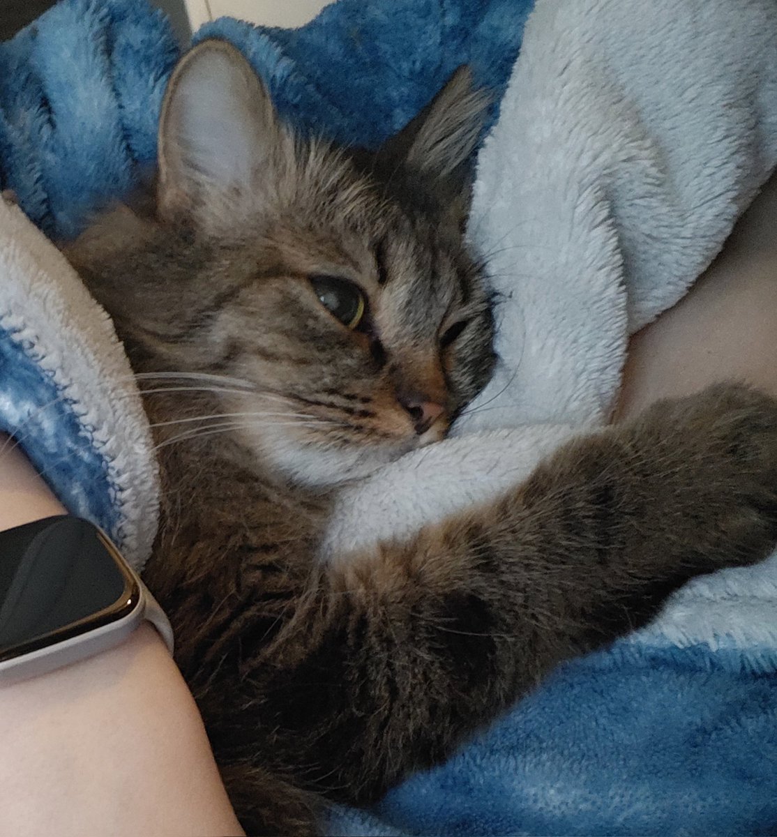 Ari.Anna_cosplay tweet media