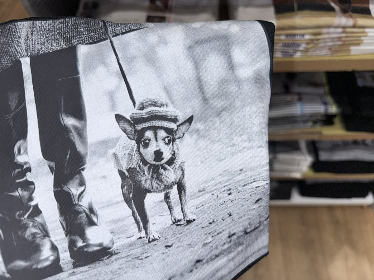 하루짱 tweet media