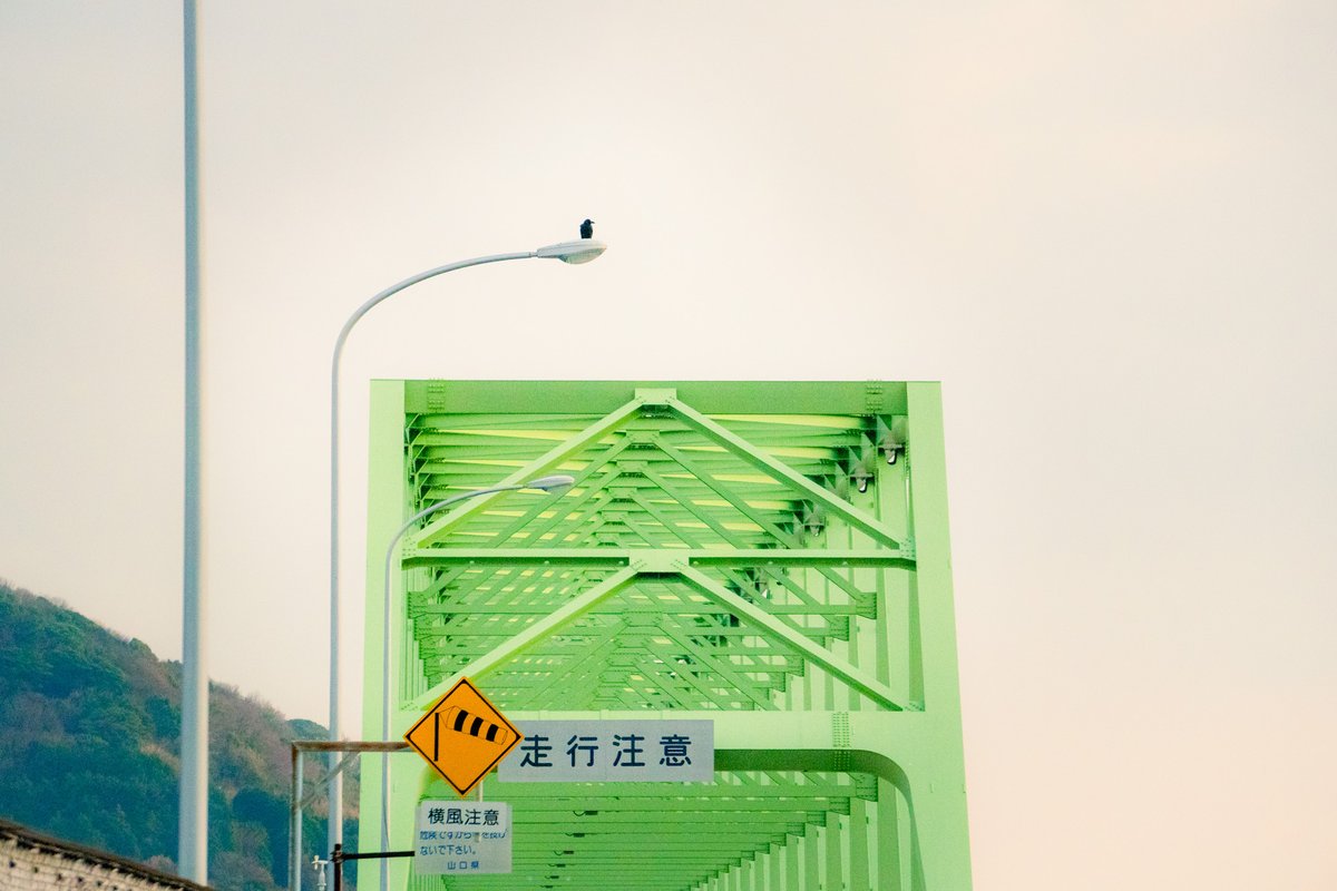 Akari | 街とカフェのsnap tweet media