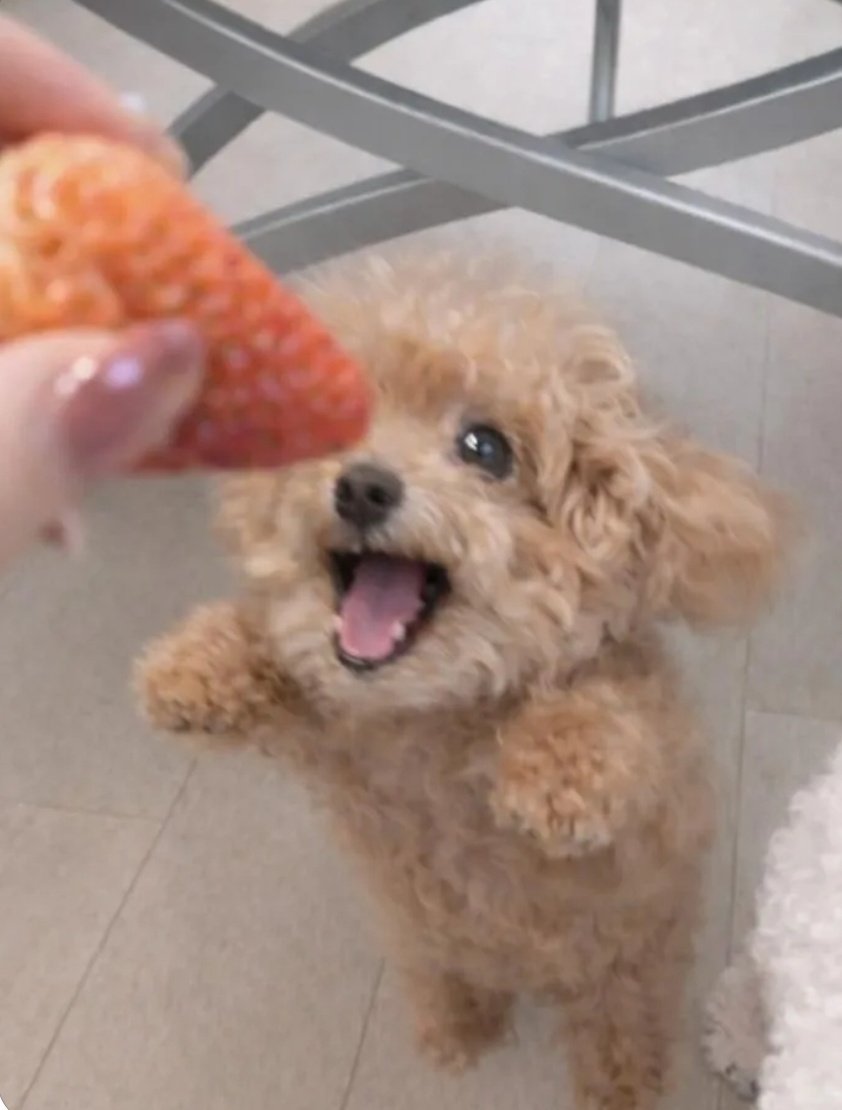 파워제이 | Premium+ tweet media