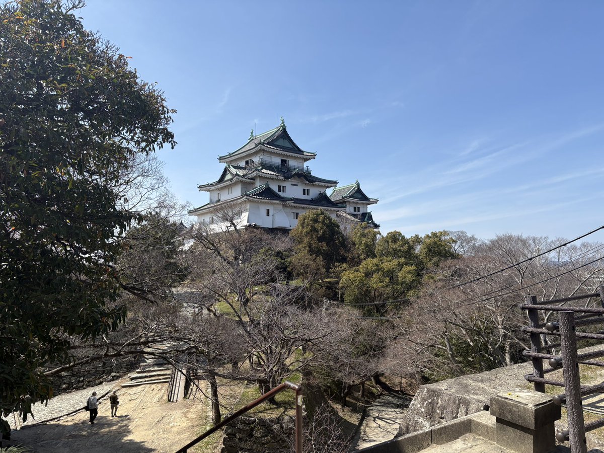 parachuteman's tweet photo. 2026,3,17 和歌山城 https://t.co/i9QBUjPOkJ
