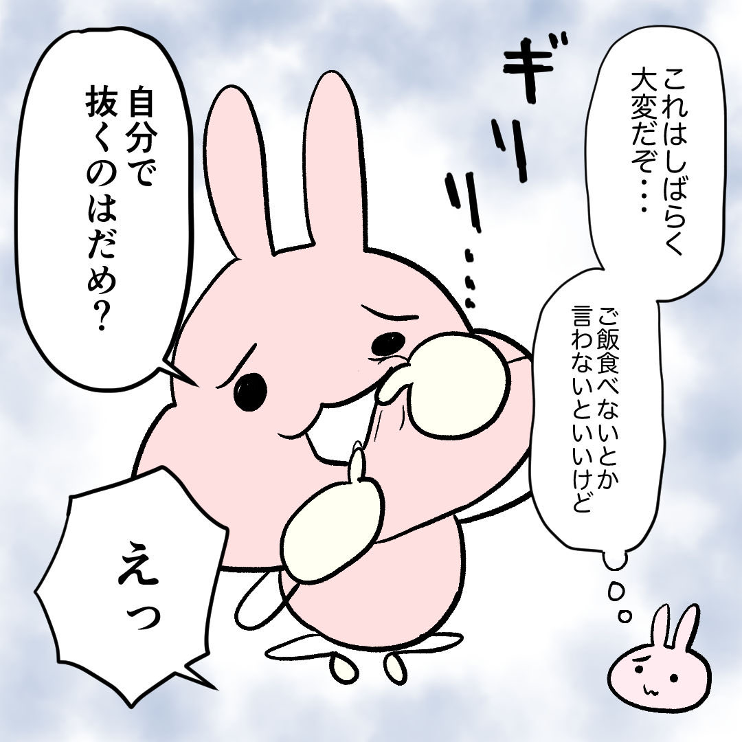 くうたん、歯を抜く(1/3)
保育園などで歯が抜けることも多いそうですが、記念すべき抜けるところを見れてよかったです。 