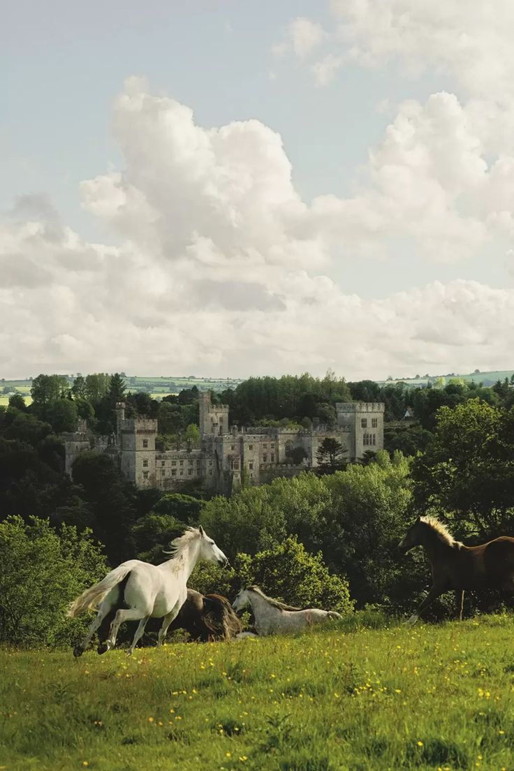 only aesthetic tweet media