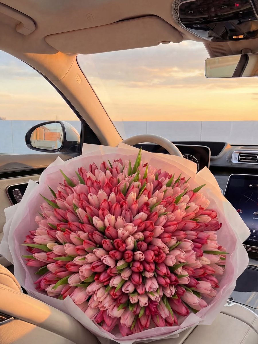 blossom library (@blossom_library) on Twitter photo 