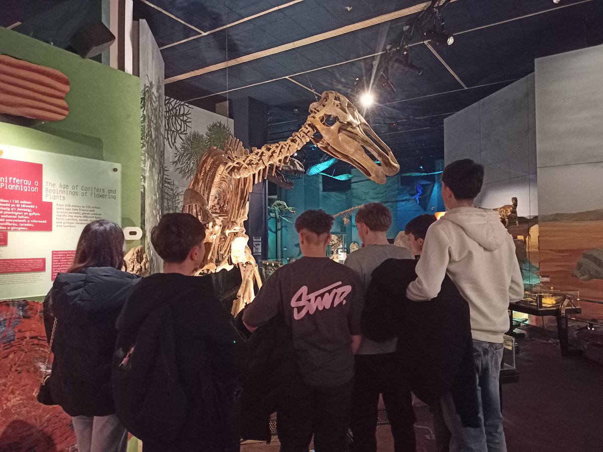 CEO Boecillo (oficial) tweet media