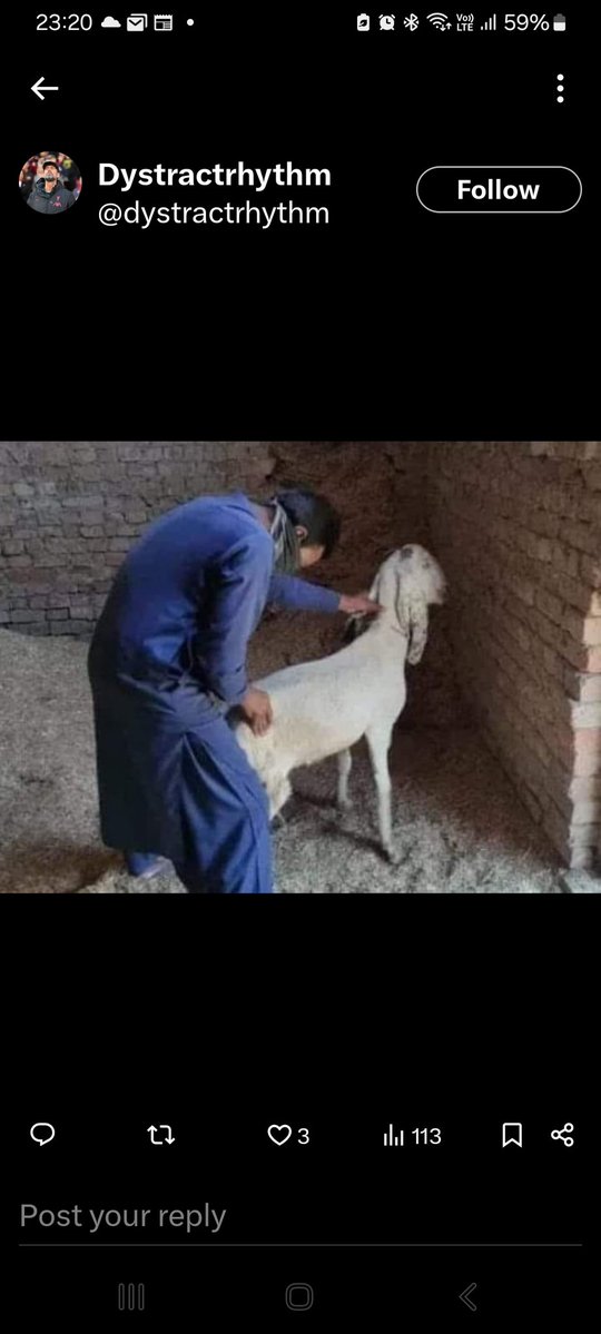 Anwar Bohebolo tweet media