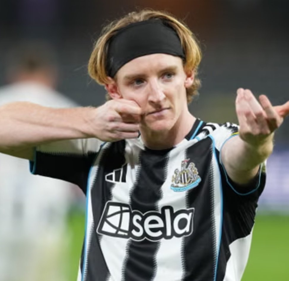 FPL Gold Fish- Yaniv Salomon tweet media