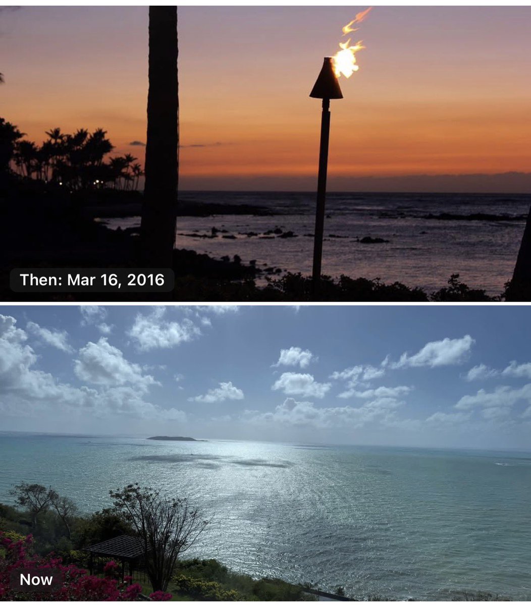 Victoria Chernyak, MD MS FSAR FESGAR FACR tweet media