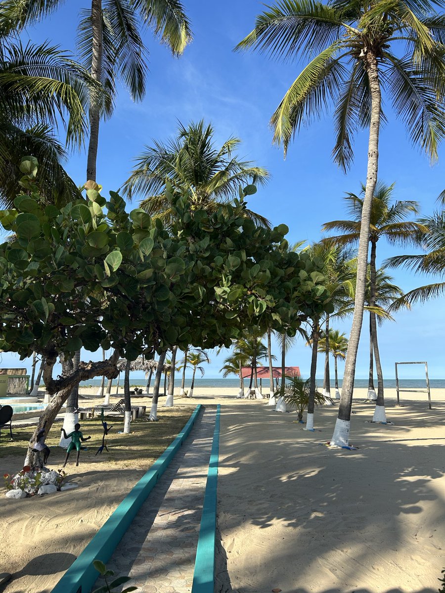 Elvia Paz tweet media