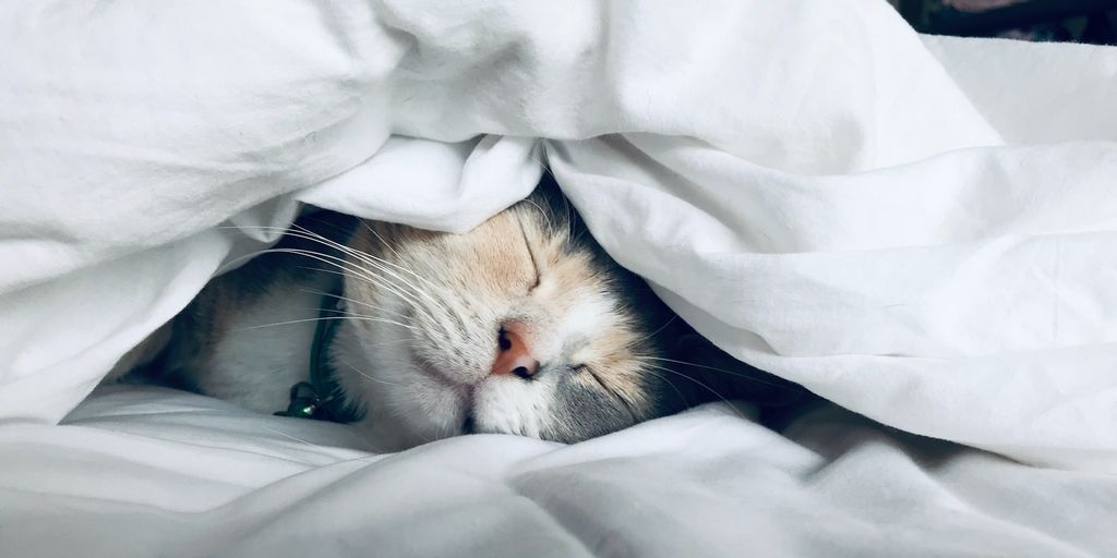 Business Guides tweet media