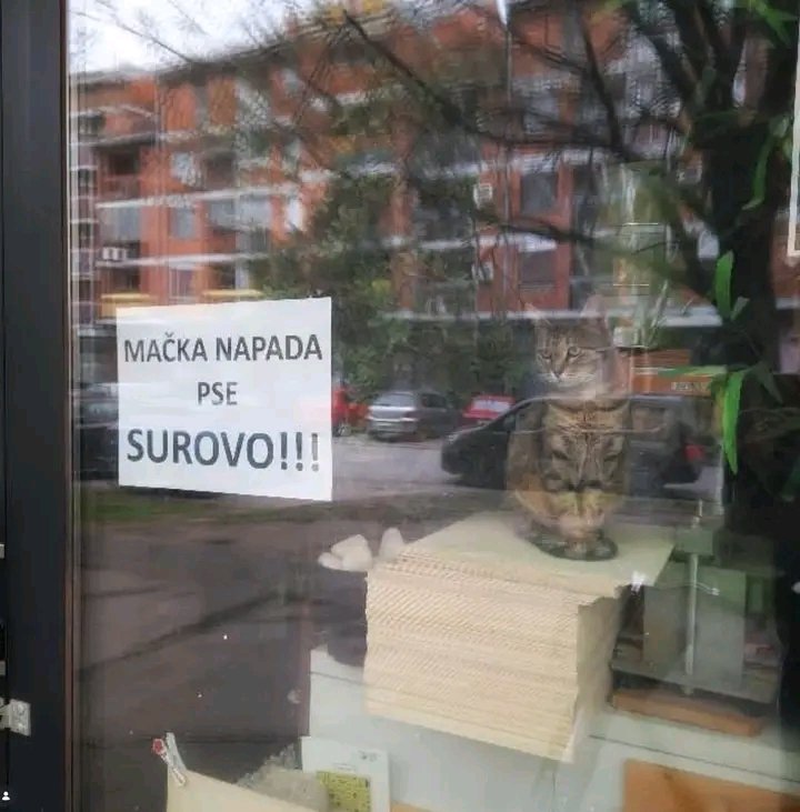 Lele_Mud tweet media