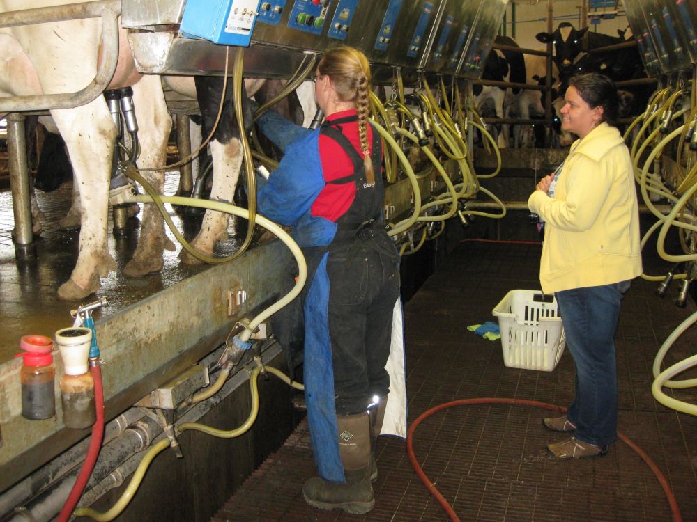 National Post tweet media