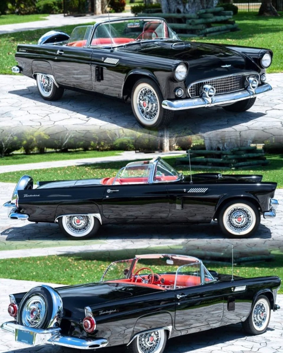 Tim Lawrence tweet media