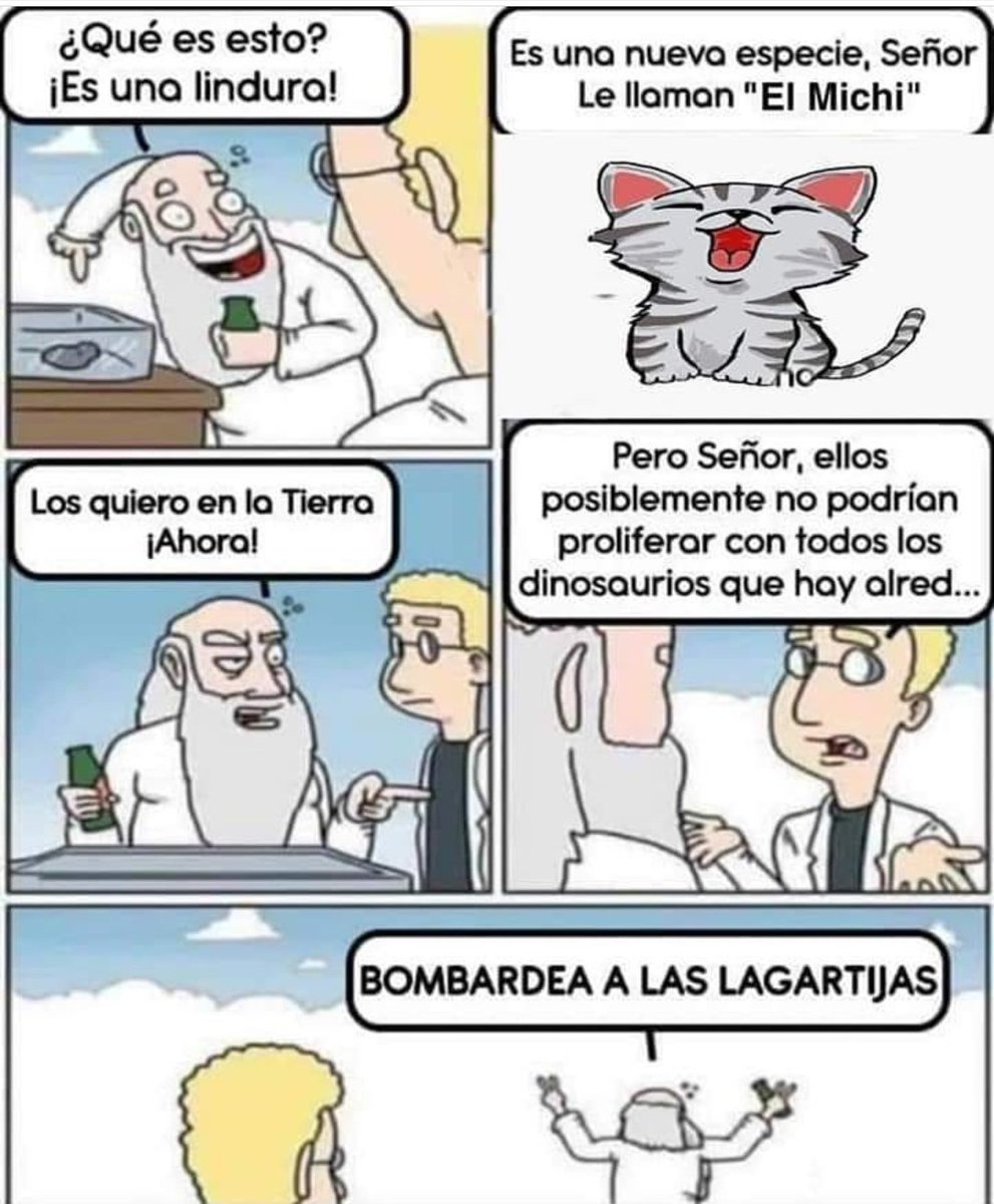CorazónGatuno tweet media
