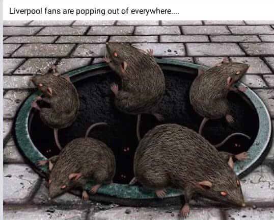 Caroline Dovaston tweet media