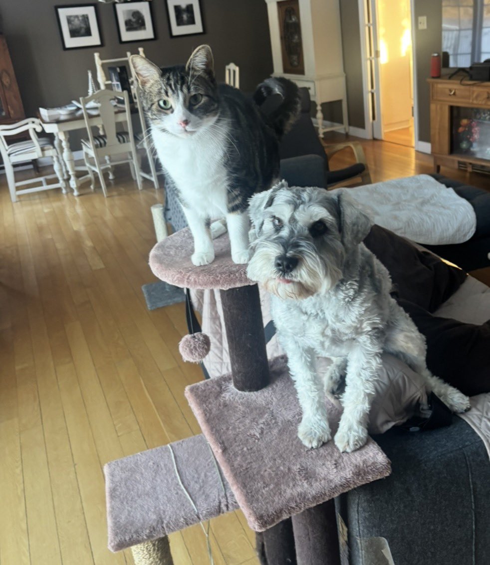 Dean Patterson v1.0.0🇨🇦 tweet media