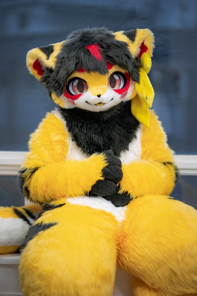 옐피 Yellppy 🐠 tweet media