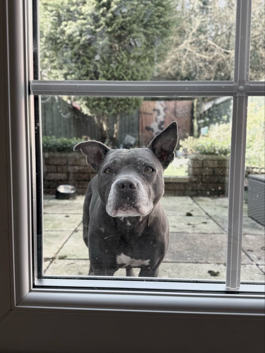 Isa Mary tweet media