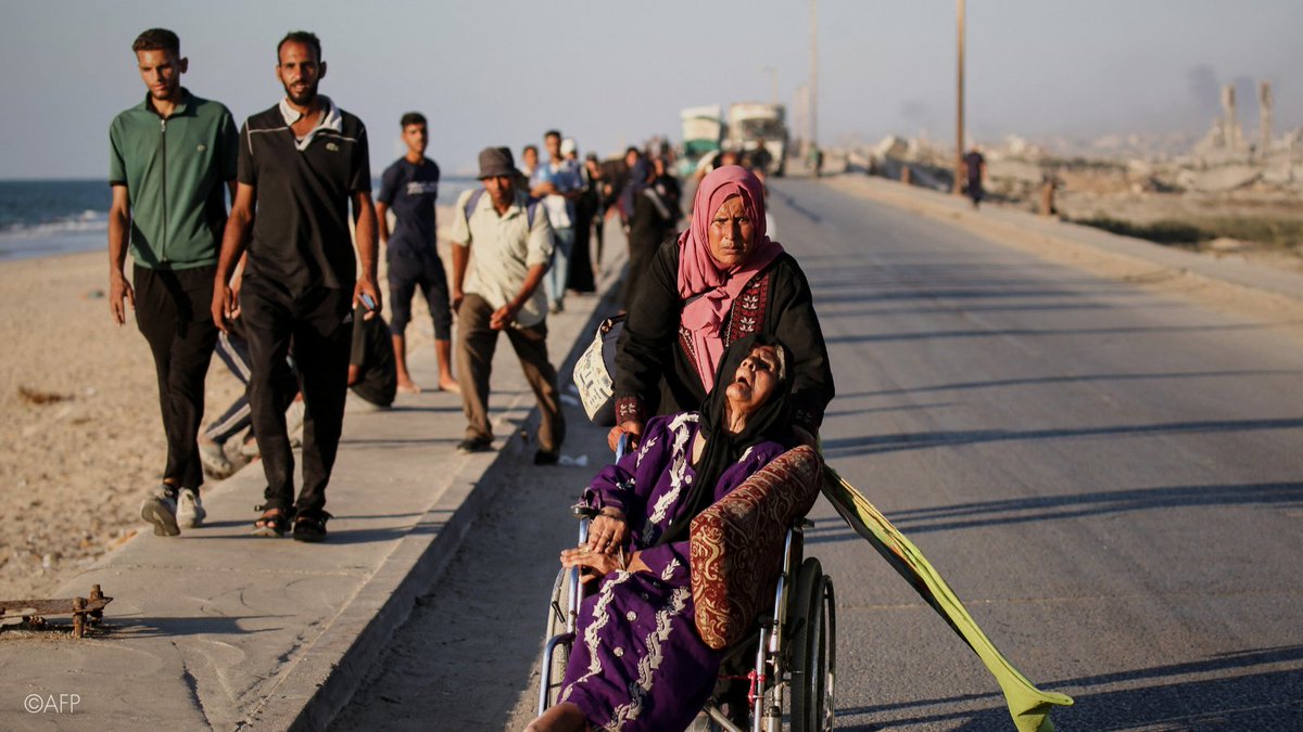 UN Special Procedures tweet media