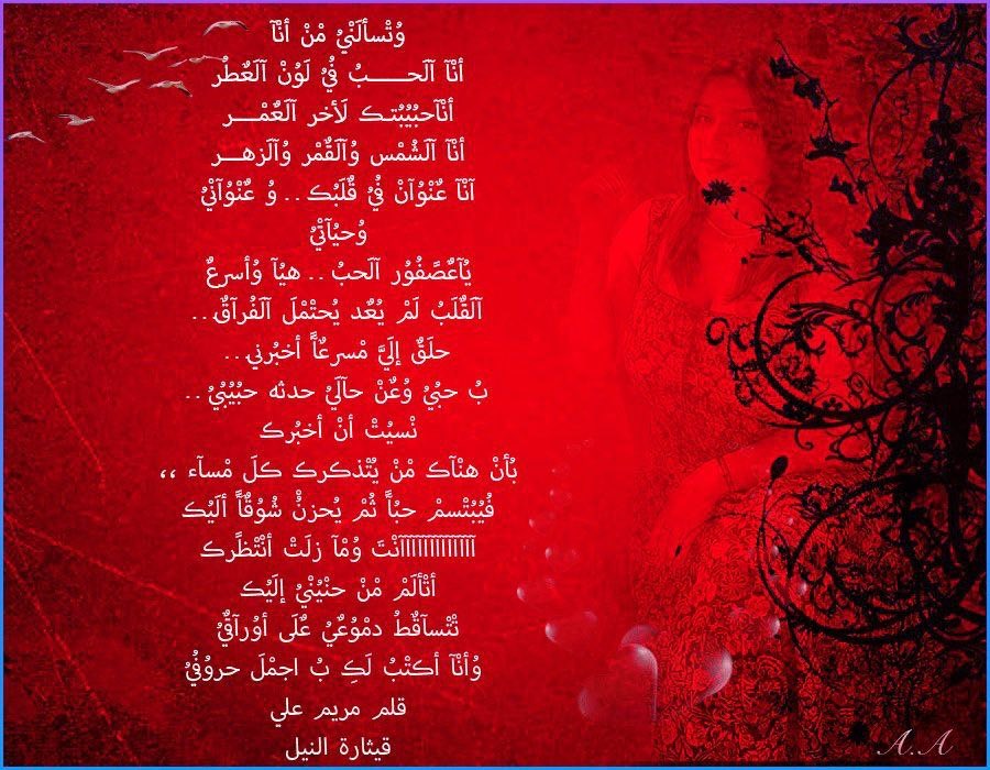 🕊 ℳ𝒶𝓇𝒾𝒶𝓂 tweet media