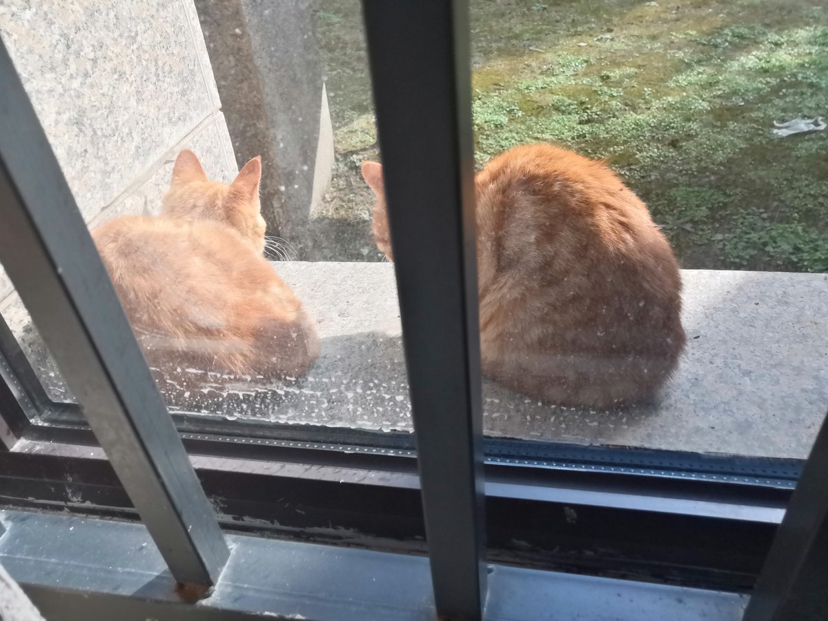 De Zhoxy Stylo Ug tweet media