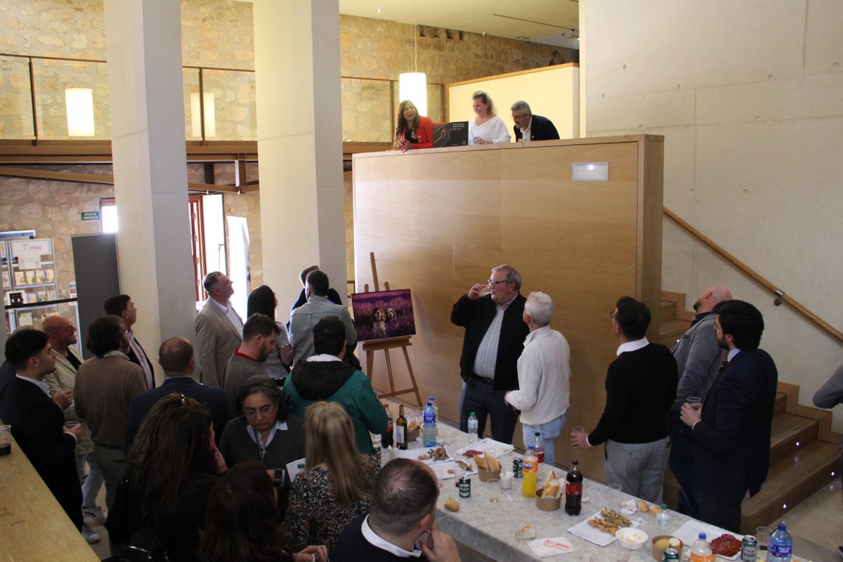 Mobility Centro - Mercedes tweet media