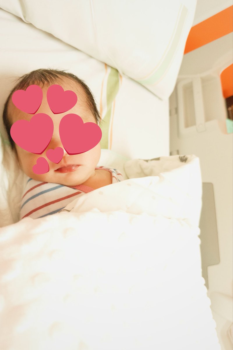 ʕᵔﻌᵔʔ tweet media