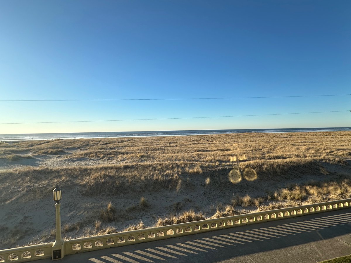 Theodore Landgraf tweet media