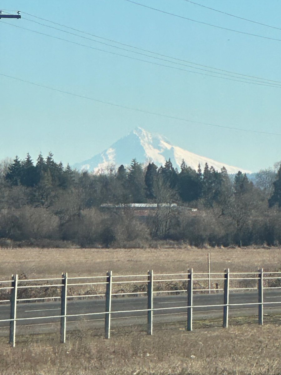 Theodore Landgraf tweet media