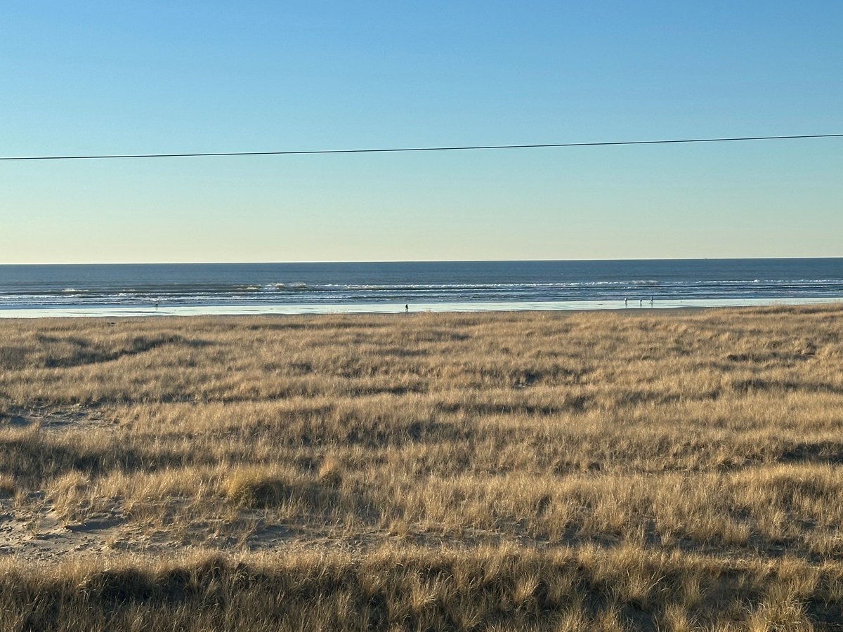 Theodore Landgraf tweet media