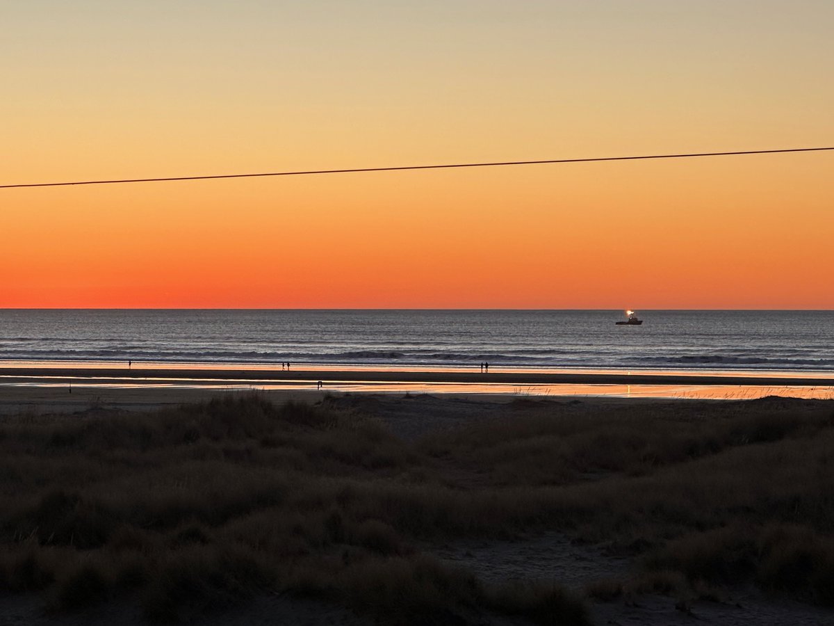 Theodore Landgraf tweet media