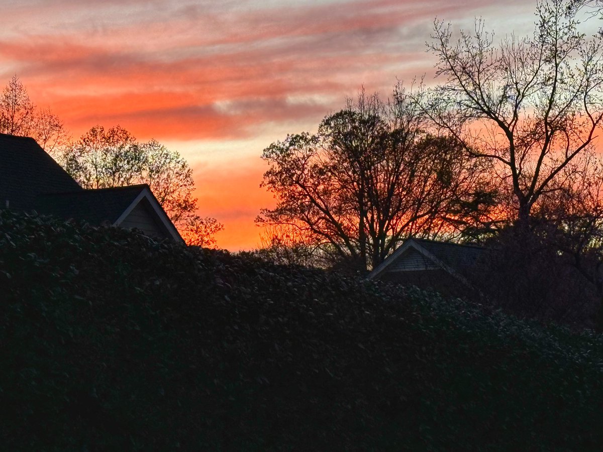 Bill Leslie tweet media