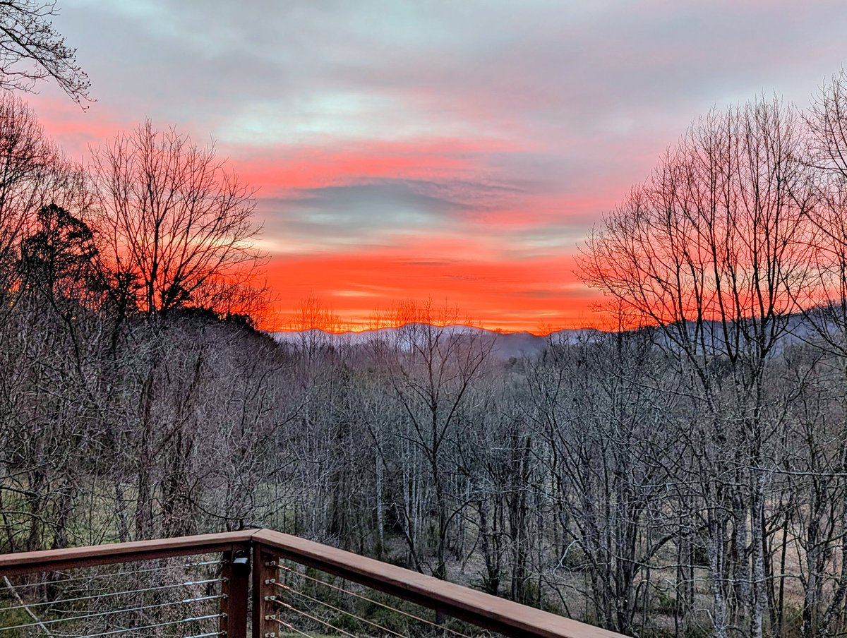 wheehawk tweet media