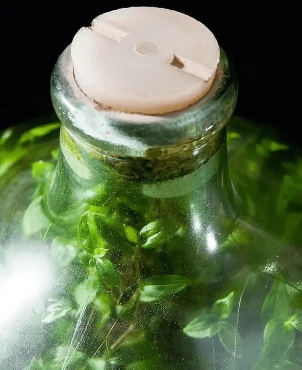 Алиса.Азъ есмь. tweet media