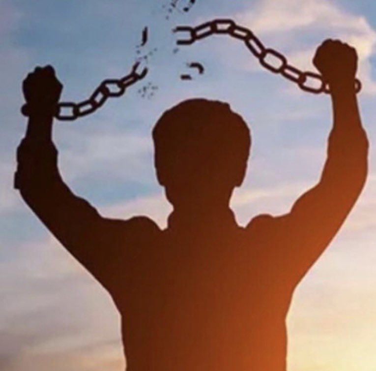 Noct🐉🔜CFZ tweet media